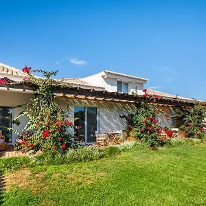 Abacatus Ferienhaus Tavira